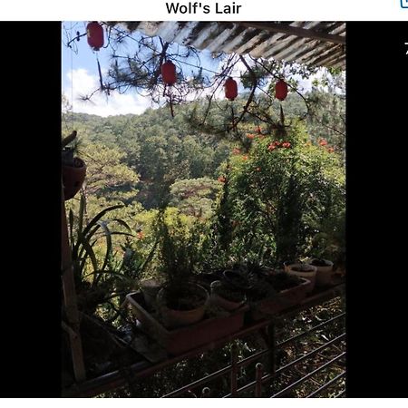 Wolf'S Lair Hotel Đà Lạt Ngoại thất bức ảnh