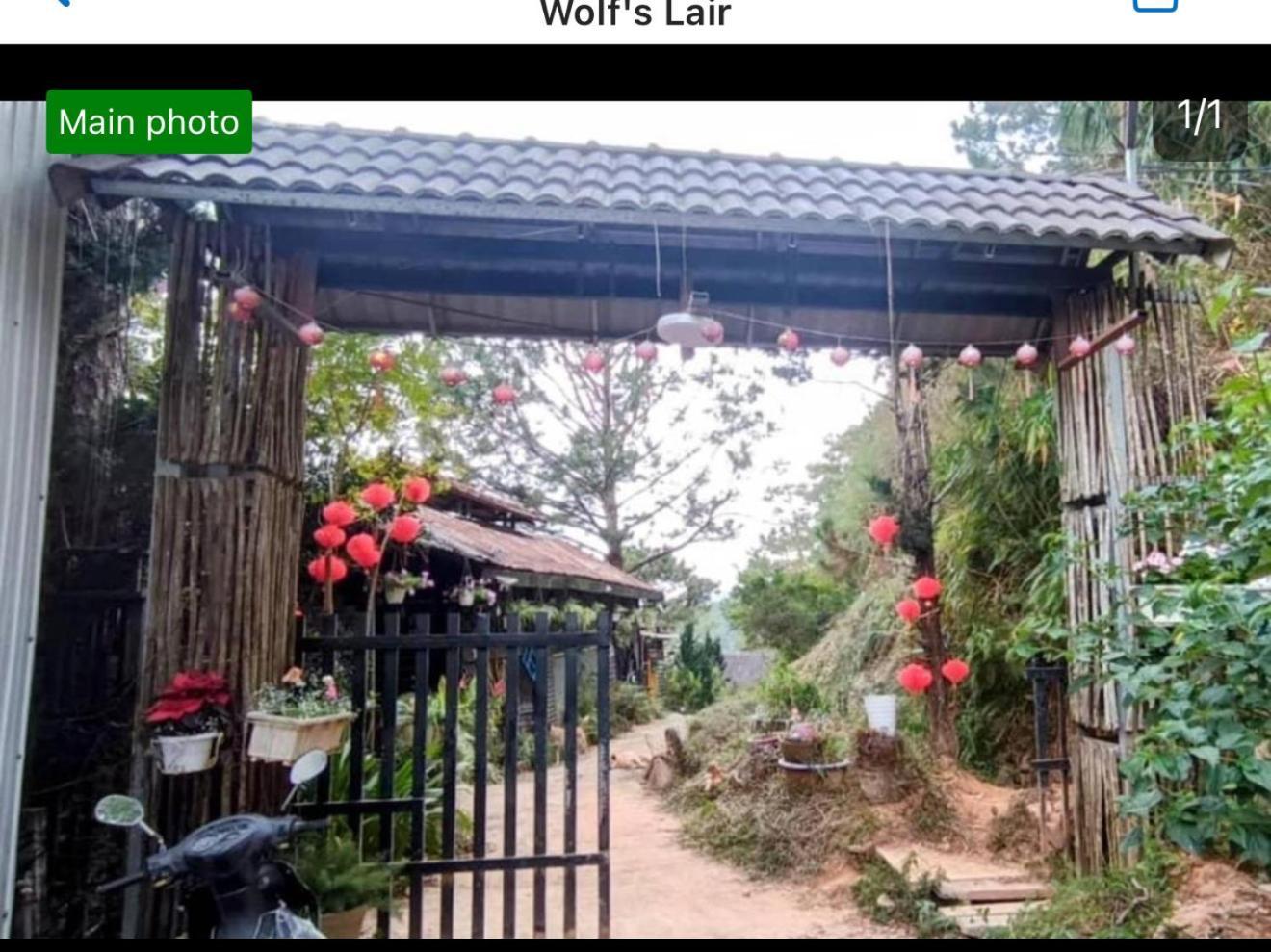 Wolf'S Lair Hotel Đà Lạt Ngoại thất bức ảnh