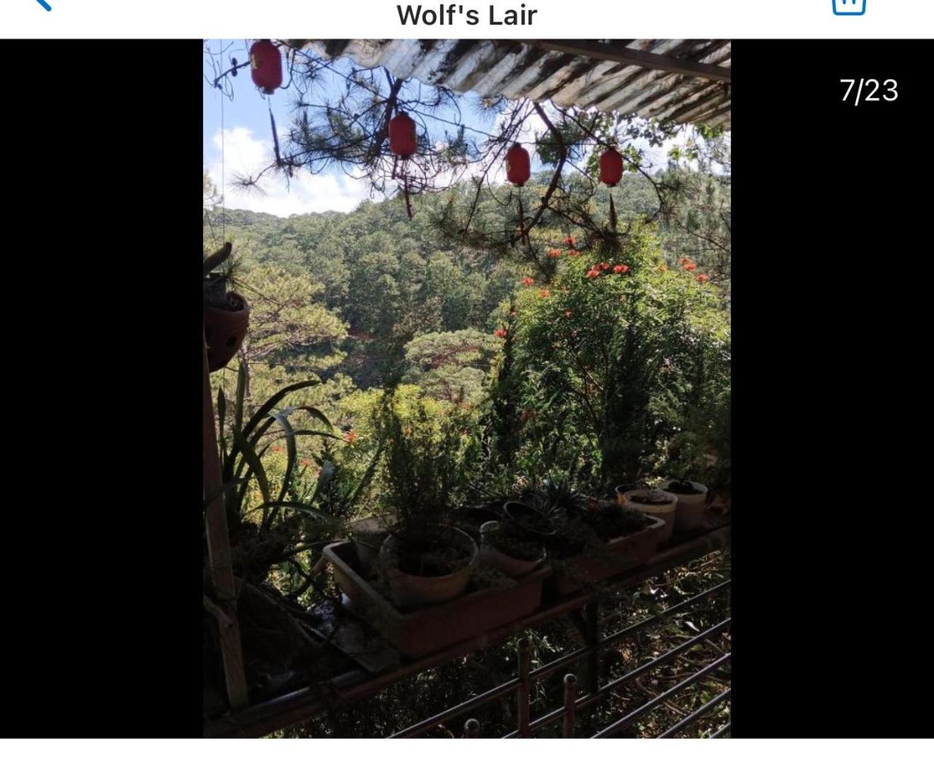 Wolf'S Lair Hotel Đà Lạt Ngoại thất bức ảnh