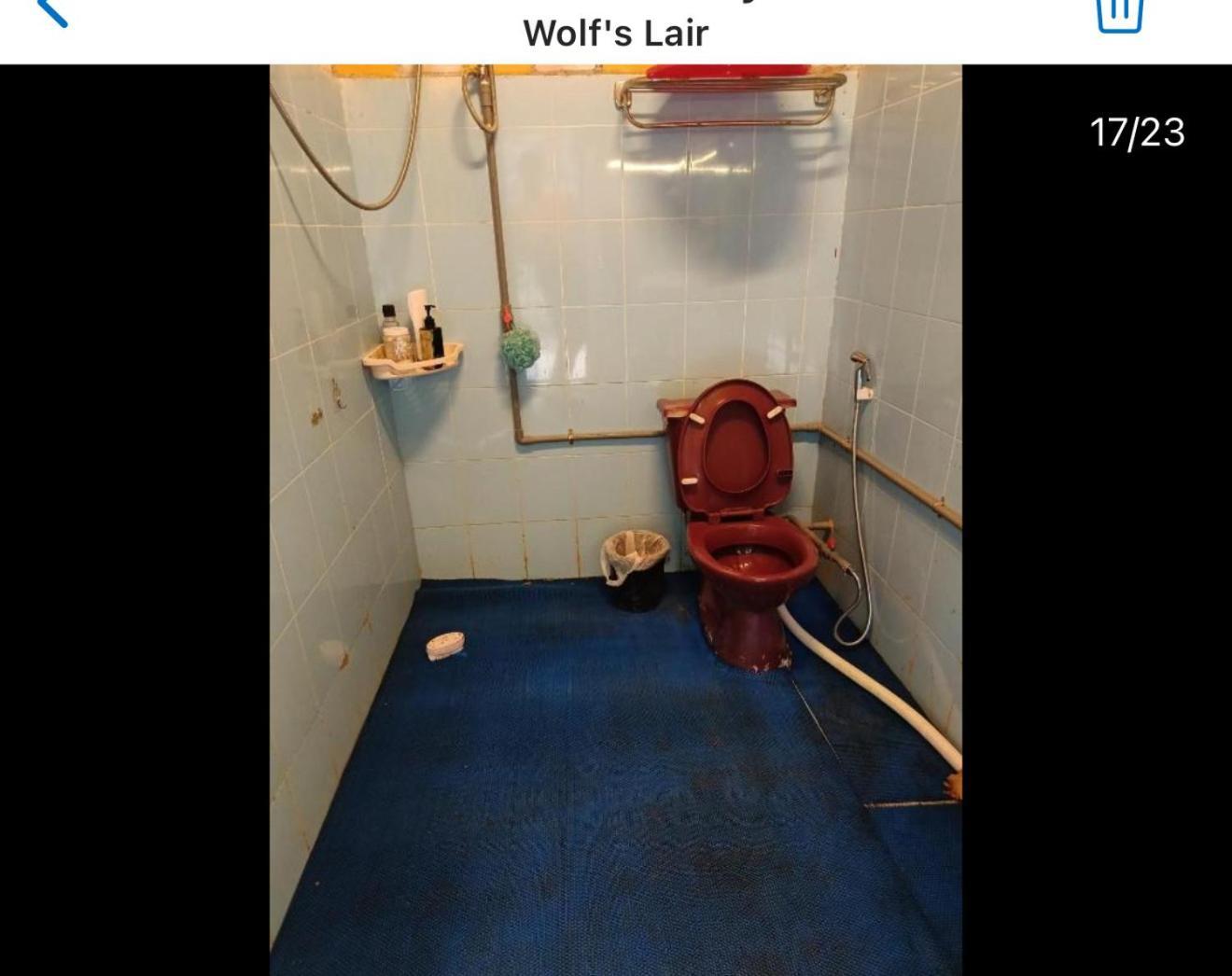 Wolf'S Lair Hotel Đà Lạt Ngoại thất bức ảnh