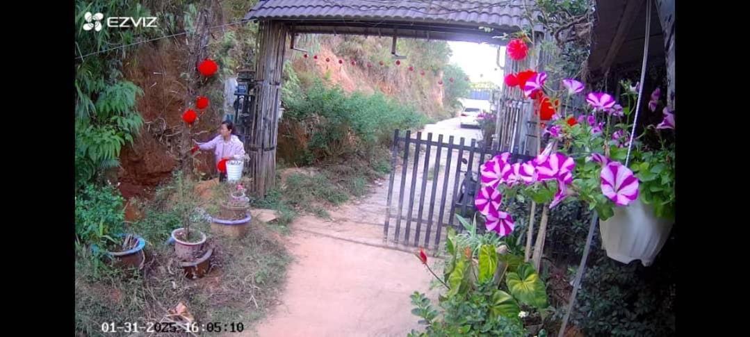 Wolf'S Lair Hotel Đà Lạt Ngoại thất bức ảnh