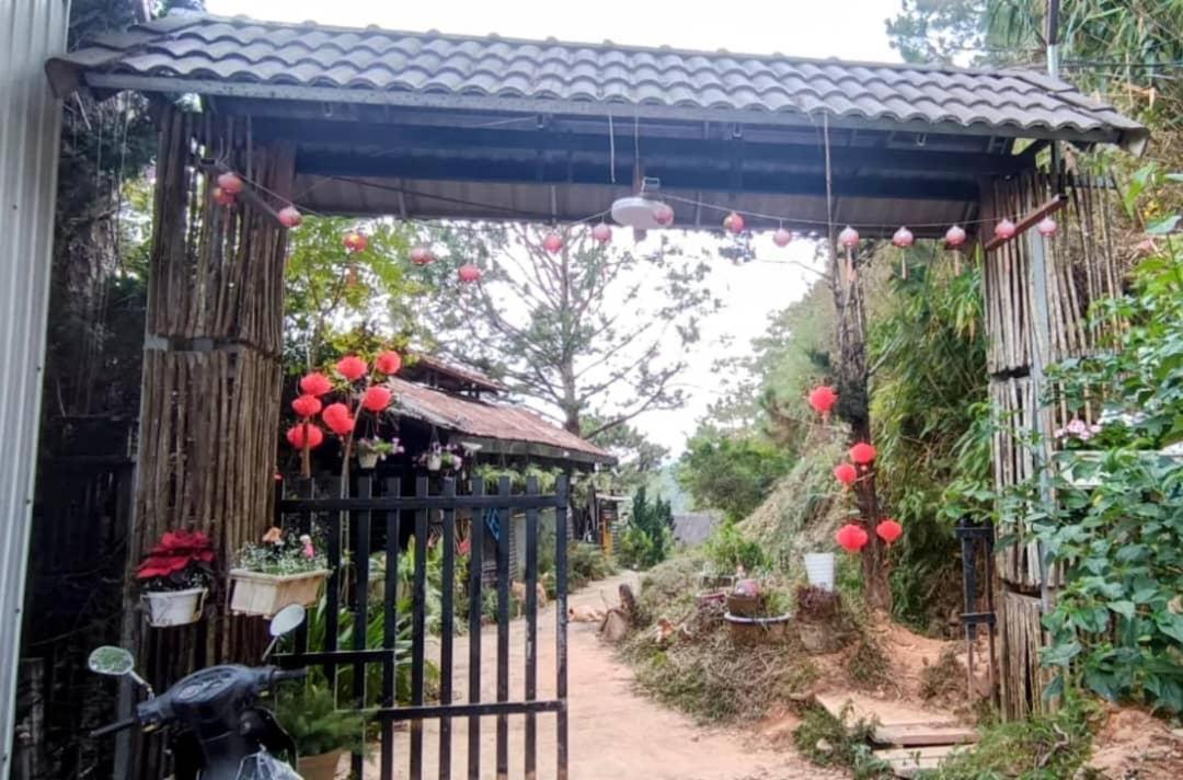 Wolf'S Lair Hotel Đà Lạt Ngoại thất bức ảnh